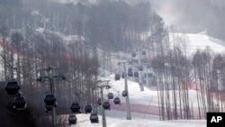 FILE - In this Jan. 22, 2016, file photo, gondolas make their way through a thinned forest up the ski slope which would be the venue for the Pyeongchang 2018 Winter Olympics at the Jeongseon Alpine Center in Jeongseon, South Korea.