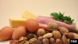 Healthy Diet food group, proteins, include meat (chicken or turkey), cheese, eggs and nuts.
