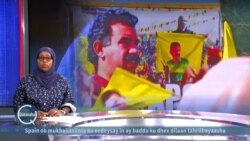 Kurdiyiinta oo xabad-joojin ku dhowaaqaya