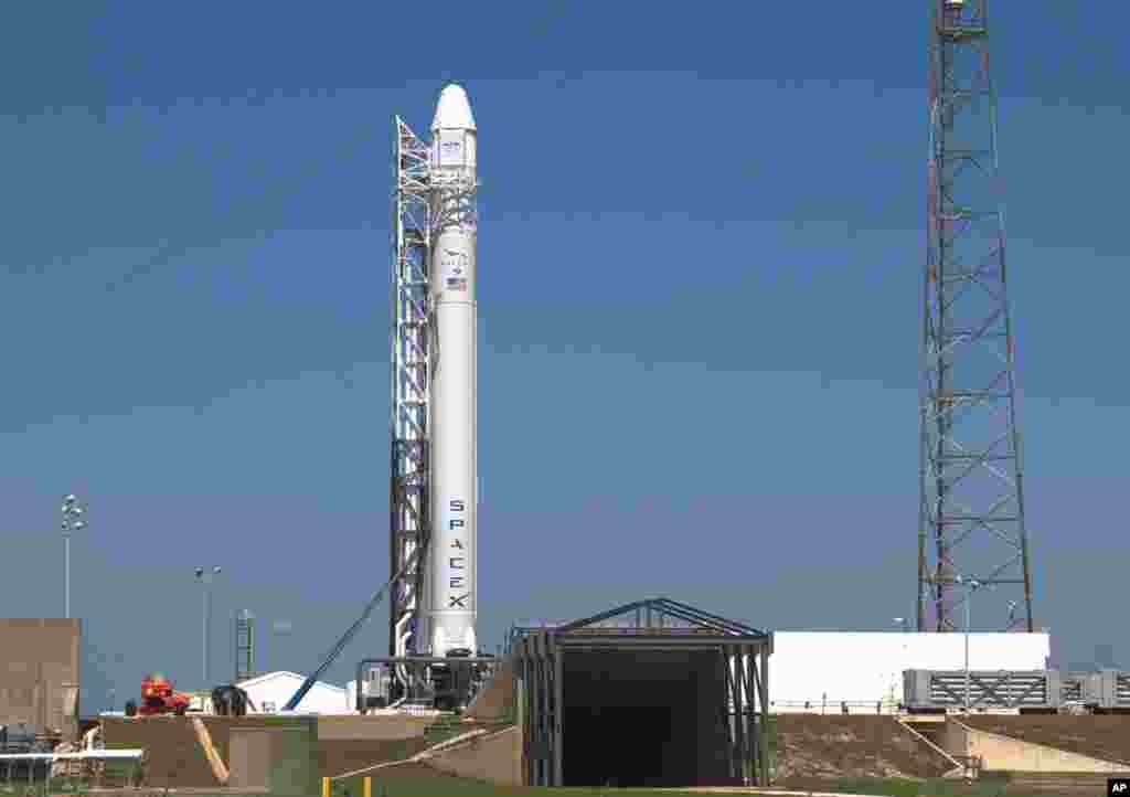 The SpaceX Falcon 9 test rocket being prepared for launch, May 18, 2012. (Reuters)