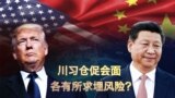 焦点对话：川习仓促会面，各有所求埋风险？