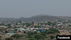 Borama
