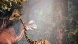 Ky dinosaur i ri, me nofkën &ldquo;pula nga ferri&rdquo;,&nbsp; ka qënë bashkëkohës i dinosaurit të famshëm T.rex. Tre skelete të pjesshme të ruajtura mirë u zbuluan në Dakotën e Veriut dhe të Jugut në Formacionin Përroi i Djallit. &nbsp;Dinosauri që duket si zog, ishte 1.5 metra i lartë dhe nga sqepi deri tek bishti kishte gjatësinë prej 3 metra e gjysmë dhe peshonte 300 kilogram.&nbsp; <em>(</em><em>Carnegie Museum of Natural History)</em>&nbsp;