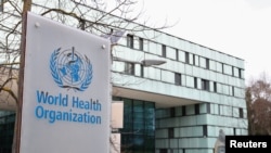日内瓦世界卫生组织总部的一所大楼外的世卫组织标记。(2020年2月6日)