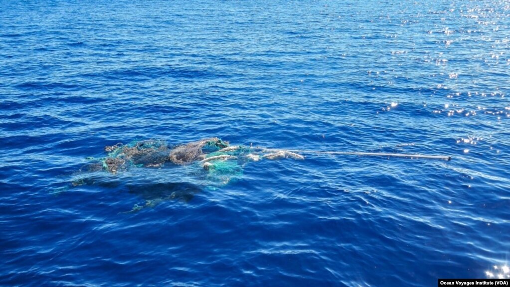 Some coastal marine species are thriving and reproducing on plastics in the Great Pacific Garbage Patch, including abandoned fishing nets. (Courtesy of Ocean Voyages Institute)