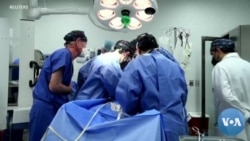 Médicos fazem primeiro transplante de coração de porco para humano