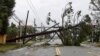 Sebuah pohon tumbang dan saluran listrik memblokir jalan diterjang Badai Michael di Panama City Beach, Florida, AS 10 Oktober 2018.