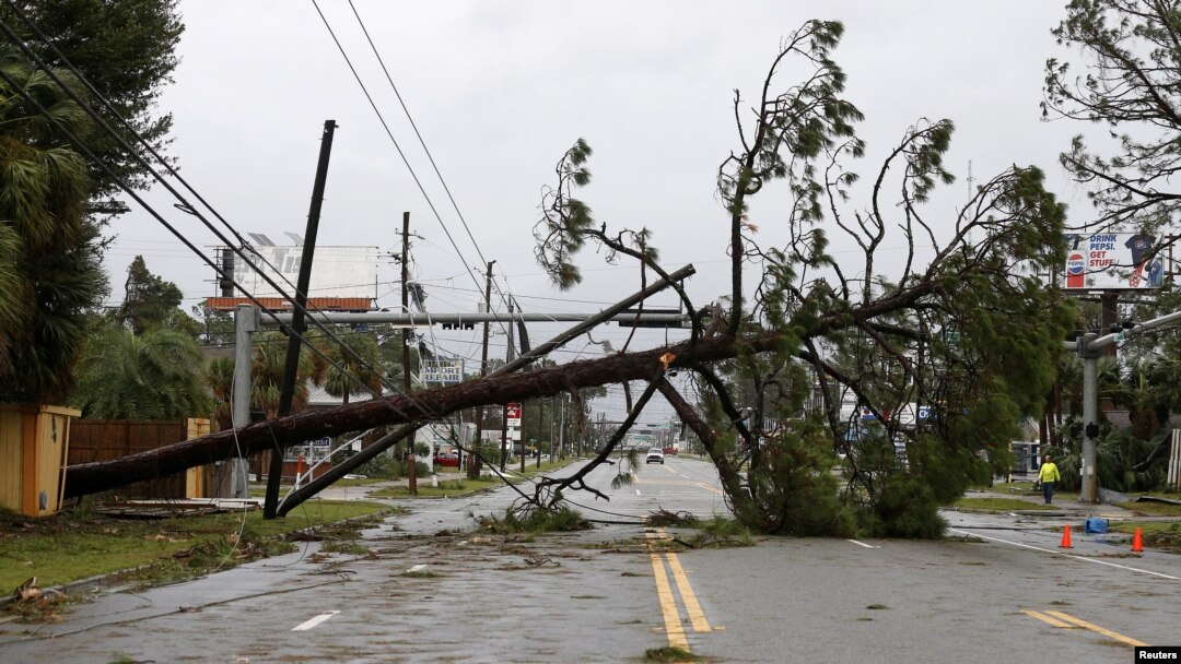 Sebuah pohon tumbang dan saluran listrik memblokir jalan diterjang Badai Michael di Panama City Beach, Florida, AS 10 Oktober 2018.