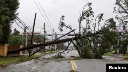 Sebuah pohon tumbang dan saluran listrik memblokir jalan diterjang Badai Michael di Panama City Beach, Florida, AS 10 Oktober 2018.