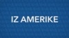 Iz Amerike 230 | Bajdenovo nasleđe na Balkanu; Vojska i deportacije; Groblje kućnih ljubimaca