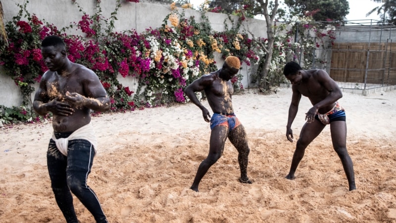 La lutte sénégalaise, entre pay-per-view et MMA
