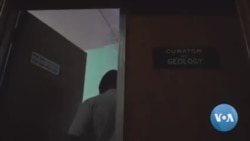 Zimbabwe Basks in Discovery of Africa's Oldest Dinosaur