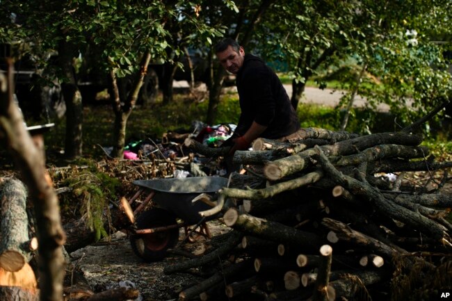 Viktor Palyanitsa piles freshly cut logs in the yard of his house in Kurylivka, Ukraine, Sunday, Oct. 16, 2022. (AP Photo/Francisco Seco)