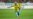 BRASIL: Triunfo debut Mundial Qatar 2022