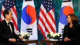 La vicepresidenta de Estados Unidos, Kamala Harris, a la derecha, sostiene una reunión bilateral con el primer ministro de Corea del Sur, Han Duck-soo, en Tokio, el martes 27 de septiembre de 2022. (Leah Millis/Pool Photo vía AP)
