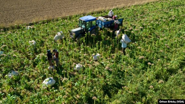 Ekim 2022 - Adıyaman