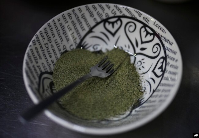 A a bowl of ahuautle sits ready for the preparation of a pre-hispanic dish at a restaurant in Iztapalapa, near Mexico City, Wednesday, Sept. 14, 2022. (AP Photo/Fernando Llano)