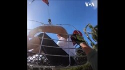 美国海岸警卫队在佛罗里达展开救援工作 