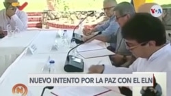 ELN y gobierno colombiano buscan la paz con Venezuela como garante
