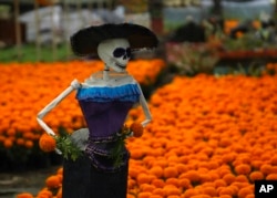 A Catrina, a folk skeleton doll, stands over a field of Mexican marigolds at a farm in Xochimilco, Mexico City, Oct. 19, 2022.