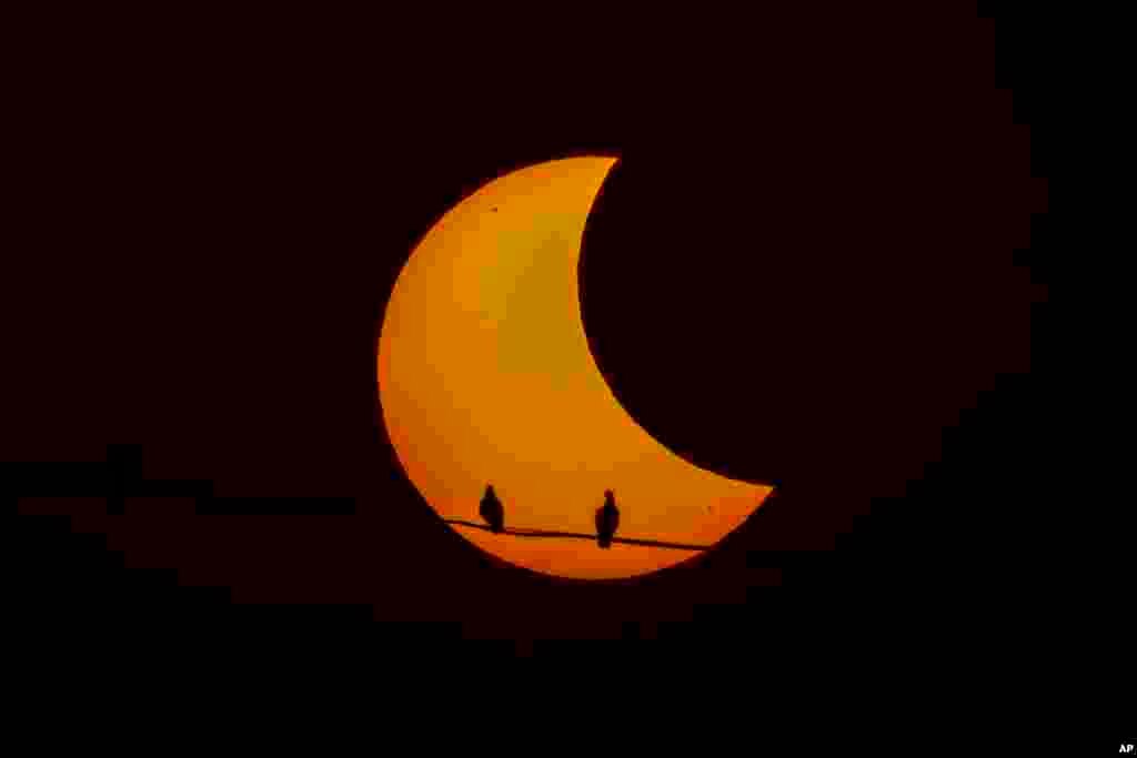 Pigeons are silhouetted as the sun forms a crescent during a partial solar eclipse in New Delhi, India.