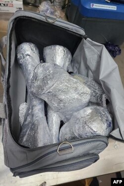 Potongan cula badak yang dibungkus di gedung Dewan Taman Nasional di Singapura, yang disita dari seorang penumpang transit yang tiba dari Afrika Selatan. (Handout / DEWAN TAMAN NASIONAL SINGAPURA / AFP)