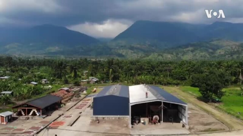 RDC: près du parc des Virunga , une industrie de café, chocolat et huile de palme