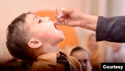 Polio teams administer the vaccine. Polio is an incurable and highly infectious viral disease that can infect a person’s spinal cord, causing muscles to stop working. (Walid Abbas / Polio Eradication Initiative, Pakistan)