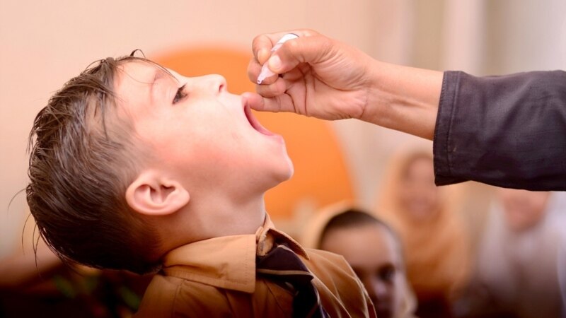 World Polio Day: Pakistan's Polio Problem Persists