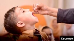 Polio teams administer the vaccine. Polio is an incurable and highly infectious viral disease that can infect a person’s spinal cord, causing muscles to stop working. (Walid Abbas / Polio Eradication Initiative, Pakistan)