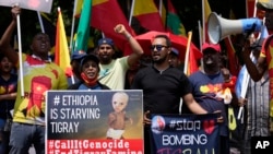 Des membres de la communauté tigréenne protestent contre le conflit entre l'Éthiopie et les rebelles du Tigré dans la région éthiopienne du Tigré à Pretoria, Afrique du Sud, le 16 octobre 2019.