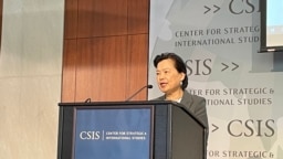 台湾经济部长王美花2022年10月11日在华盛顿智库战略与国际研究中心发表讲话。(美国之音锺辰芳拍摄）
