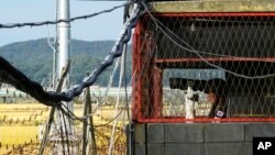 ফাইল ছবি- উত্তর কোরিয়া সীমান্তের কাছে দক্ষিণ কোরিয়ার একটি সামরিক গার্ড পোস্টের ভিতরে পাহারা দিচ্ছে দক্ষিণ কোরিয়ার এক সেনা সদস্য। (১৪ অক্টোবর, ২০২২)