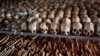 FILE - The skulls and bones of some of those who were slaughtered as they sought refuge inside a church are laid out as a memorial to the thousands who were killed in and around a Catholic church during the 1994 genocide in Ntarama, April 4, 2014. 