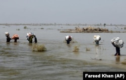 FILE - Victims of heavy flooding carry relief aid in Sindh Province, Pakistan, Sept. 9, 2022.
