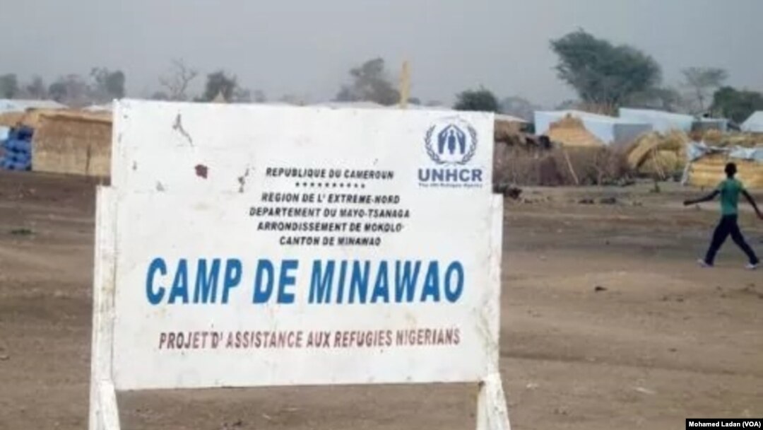 Cutar Kwalara A Sansanin Yan Gudun Hijira Na Ninawao Da Ke Kamaru