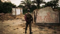 SML: Commission Justice et paix ya archidiocèse ya Kinshasa elobi bobomi na Plateau de Bateke bozali génocide ya Bateke 