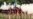 Battle Reenactors Fear Being Targeted by New York Gun Law