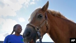 Dionne Williamson, of Patuxent River, Md., gets Woody ready before her riding lesson at Cloverleaf Equine Center in Clifton, Va., Sept. 13, 2022. 