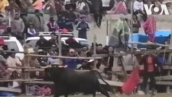 玻利維亞鬥牛節