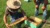 Former West Virginian coal miners find a sweet alternative for their livelihood - harvesting honeybees.