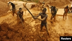 Artisanal miners dig for gold in an open-pit concession near Dunkwa, western Ghana, February 15, 2011. 