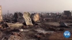 Faladie Garbal Jenini