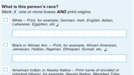 Section of 2020 U.S. Census form on White heritage