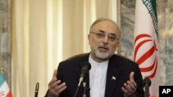 علی اکبر صالحی، وزیر امور خارجه ایران