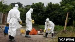 Le personnel de la santé nettoie l'aire de la parcelle où une personne infectée par le virus d'Ebola habitait
