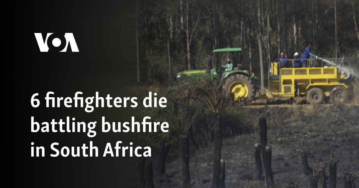 6 firefighters die battling bushfire in South Africa