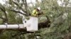 Power Being Restored in Florida After Hurricane Irma