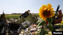 Wreckage from Malaysia Airline MH17 near the Ukrainian village of Hrabovo, July 26, 2014. Nearly 300 people, 193 of them Dutch citizens, were killed when the plane was brought down in eastern Ukraine, where separatists are battling government forces.
