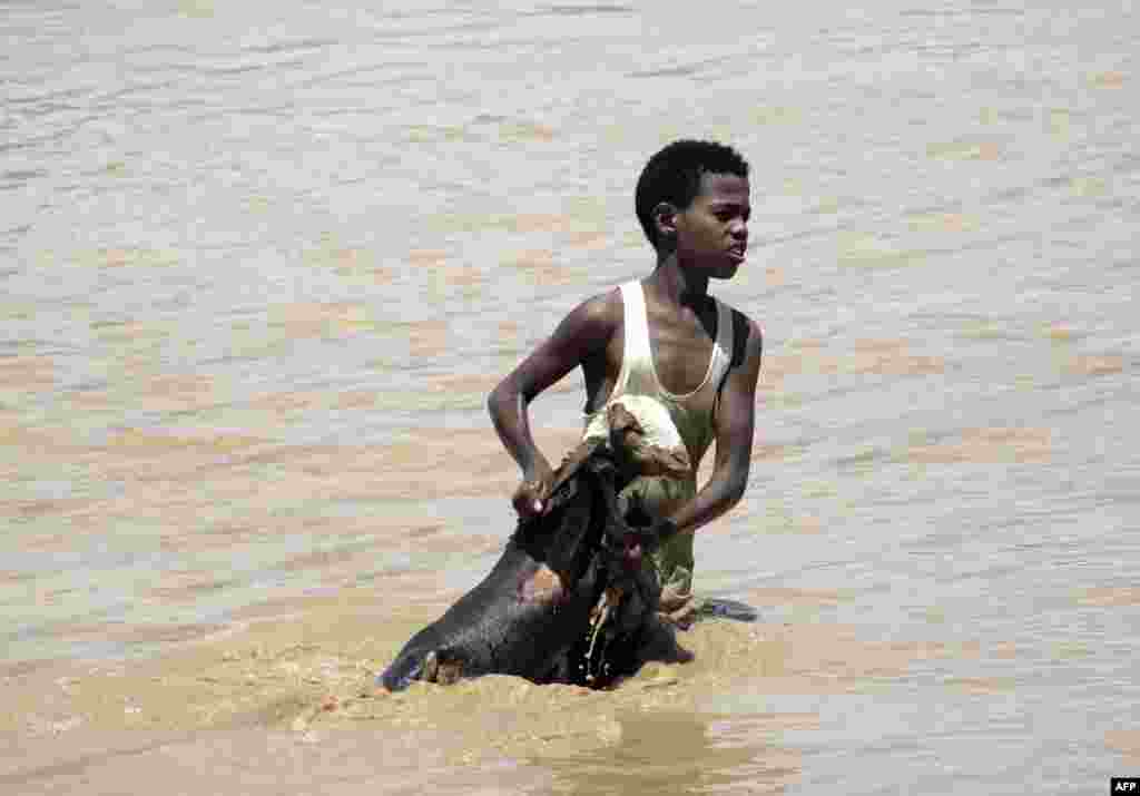 A young Sudanese boy holds a goat out of flood waters are he makes his way to higher land in Khartoum, Sudan.